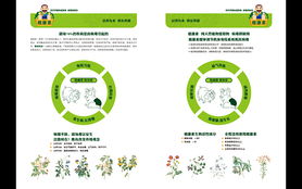 长沙美艺设计 全方位品牌形象策划与商业设计解决方案