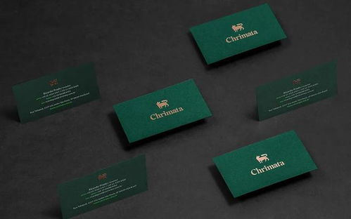 企业形象策划的设计要素 构建品牌识别系统的核心环节